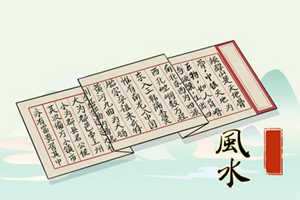 办公桌放什么花招财(办公桌放什么花招财开运)