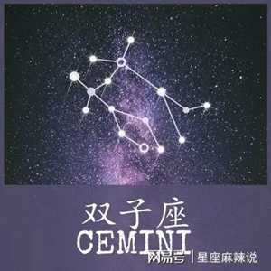 双子座聪明第几名双子座聪明还是笨-神算网