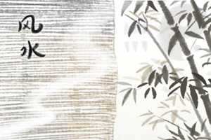 明财位放什么植物旺财又吉利-神算网(明财位放什么植物最旺财)