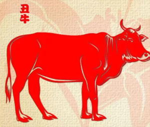 十二生肖中丑牛今年的运势如何呢(丑牛今年财运怎么样)