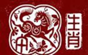属马女一生财运怎么样(属马女一生财运怎么样啊)