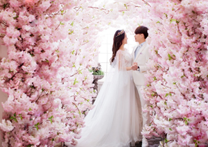 巨蟹座的专属婚纱-神算网(巨蟹座的婚纱是什么)