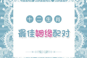 测试十二生肖配对姻缘-神算网(免费测试生肖配对)