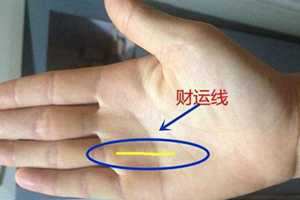 如何查看自己的财运(如何查看自己的财运在哪个方位)