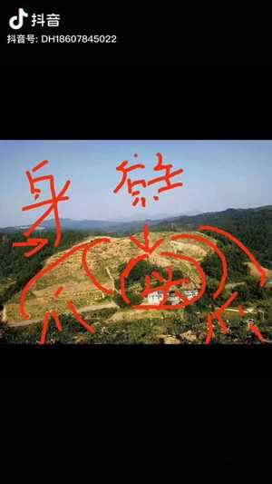 风水虎守何方(风水虎守何方好不好)