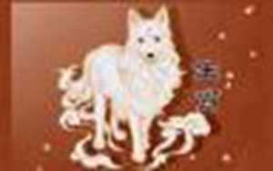 属狗的运气怎么这么差(属狗的运气怎么这么差属猴的)