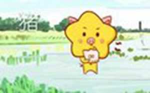 2021属猪的幸运楼层有哪些-神算网(属猪的幸运楼层有哪些)