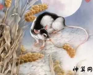 2018年生肖鼠每月运势(2018年生肖鼠每月运势怎么样)
