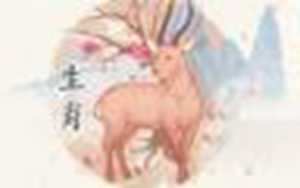 67年属羊人后半生婚姻(67年属羊后半生命运)