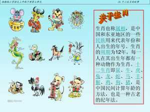 规矩的生肖(没有规矩的生肖)