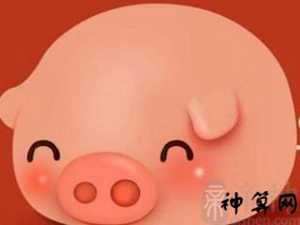 1976年属猪2017年运势(1976年属猪2020年运势)
