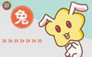 2021年下半年容易离婚的生肖(2022容易离婚的生肖)