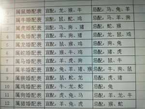 91年5月属什么生肖婚配(91年5月属什么生肖婚配最好)