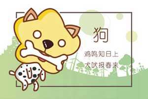 生肖属羊和属狗的合不合(生肖属羊和属狗的合不合财)