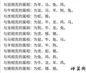 12生肖宜配忌配和财(十二生肖宜配和忌配)