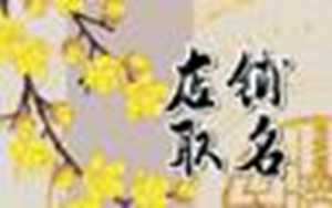 测试自己的古风名字(测试自己的古风名字女生)