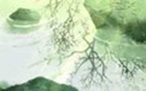 多次梦到自己暗恋的人预示着什么(多次梦到自己暗恋的人预示着什么意思)