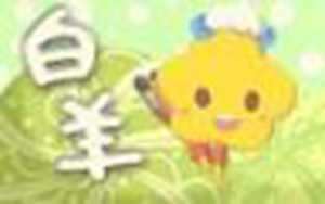 十二星座各种排名大全图片(十二星座所有排名大全)