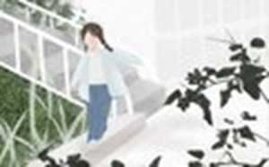 十二生肖出生月命运(十二生肖出生月命运(十二篇))