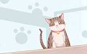 梦到猫是什么意思周公解梦-神算网(梦到猫是什么预兆)