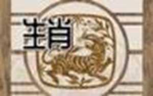 生肖虎未来十年运势(生肖虎未来十年运势如何)