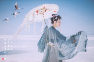 十二星座代表的古风雨伞-神算网(十二星座古风雨伞图片)