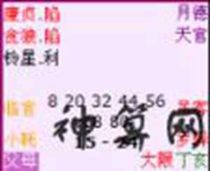 小耗凶星是什么生肖(小耗凶星指的是什么意思)