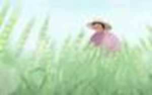 2021财运测试-神算网(2021财运免费测算)