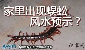 家里发现蜈蚣风水(家里发现蜈蚣怎么办)