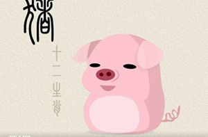 属猪的出生年份是哪几年(属猪的出生于那些年)