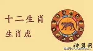 空肖是什么生肖是什么生肖(空肖是什么生肖是什么生肖呢)