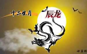 夜里潜的生肖是什么(夜里潜伏的生肖)