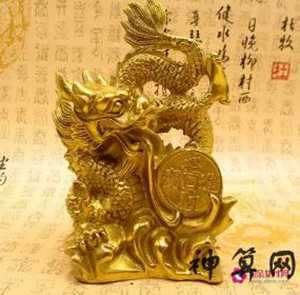 属龙人的风水花是什么(属龙人的风水花是什么颜色)