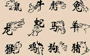 彩虹是什么生肖(彩虹是什么生肖打一生肖)
