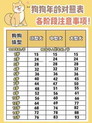 2018年狗生肖数字(2018年生肖狗纪念币)