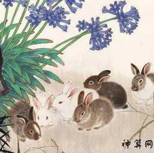 87年出生人风水(87年出生人风水如何)