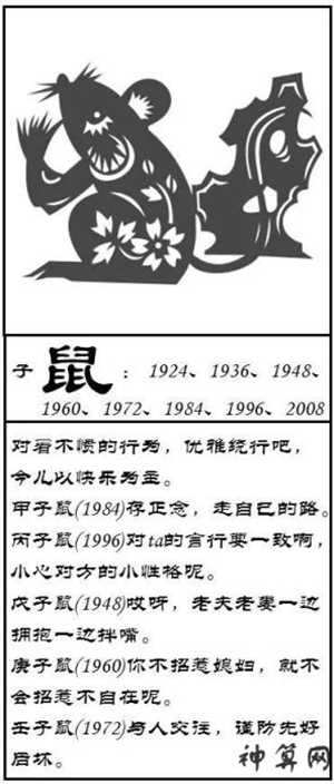 2008年生属什么生肖(2008年生的属什么生肖)