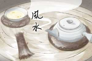 冰箱上面放什么聚财(冰箱上面放什么聚财风水好)