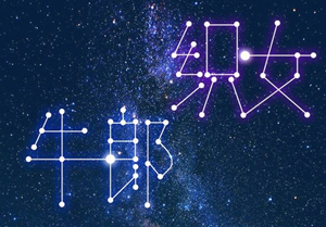 月亮双鱼座女生对另一半的情感需求-神算网(月亮双鱼座的女生的另一半)