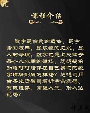 1003数字风水(数字风水1013)