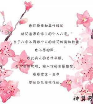 2017生肖猪桃花运如何(2020年生肖猪的桃花运)