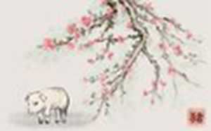 2022运势最好的生肖排名(2021运势最好生肖)