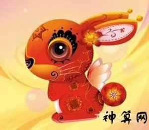 1987年属兔鸡年运势(1987年属兔鸡年运势如何)