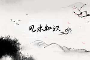 沙中土命做什么行业好