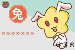属兔的风水最近怎么样(属兔的人的风水调整)
