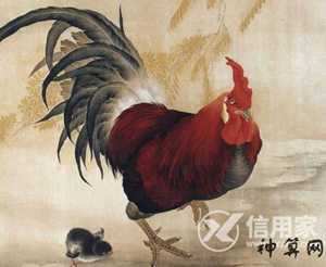 买房买几楼风水好属鸡(鸡人买房几楼最好)