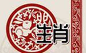属兔的有什么命运(属兔的属什么命)
