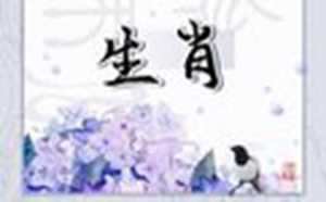 2023年兔年不宜生子的属相(2023年兔年不宜生子的属相)
