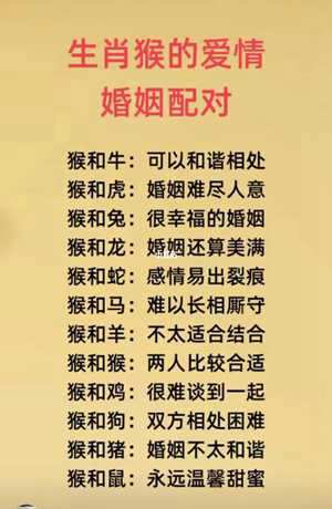 属猴的十二星座配对组合(属猴的十二星座配对组合是什么)