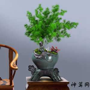 属猴人的房屋风水坐相(属猴人房子的坐向)